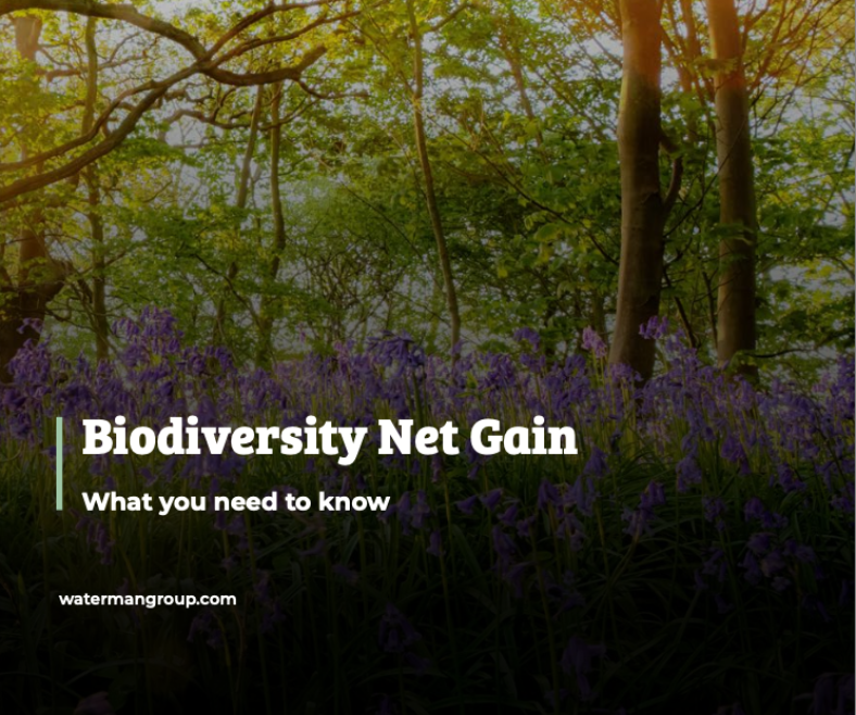 New biodiversity regulations come into force