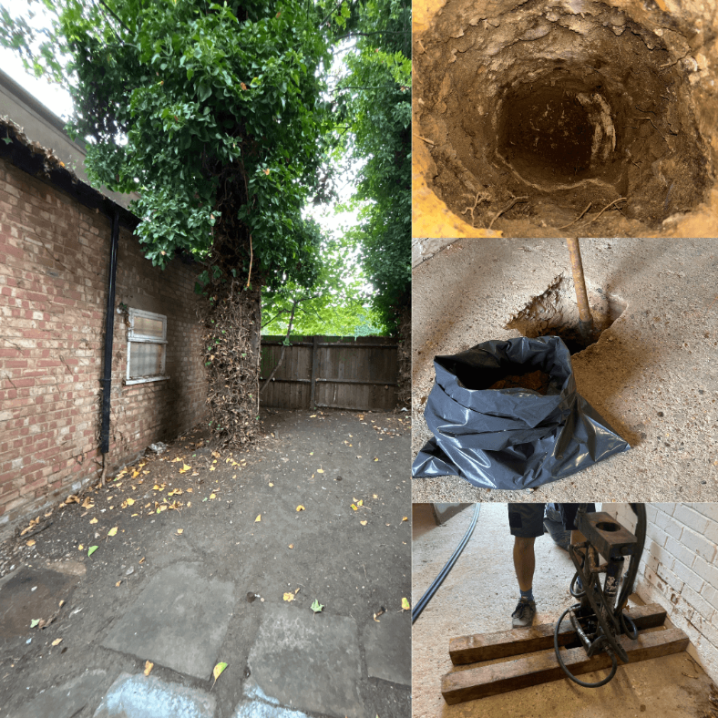 Building Consultancy: Detailed Investigation Substantiates Subsidence Claim