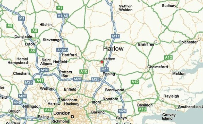 Up & Coming: Harlow